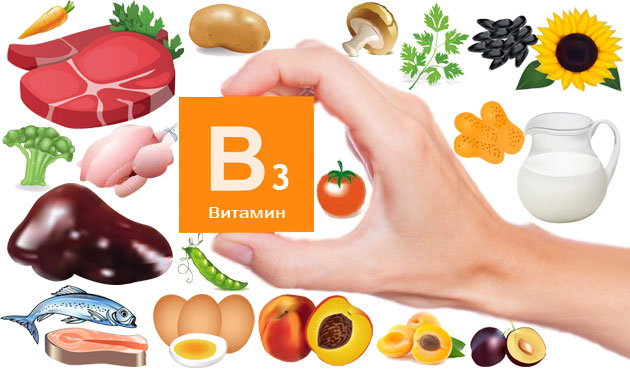 В каких продуктах и в какой концентрации содержится витамин B 3 – список