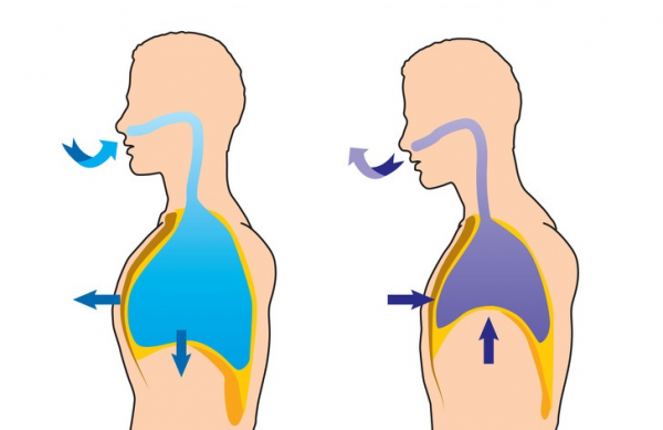 Диафрагмальное дыхание