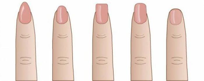 форма ногтей и характер человека