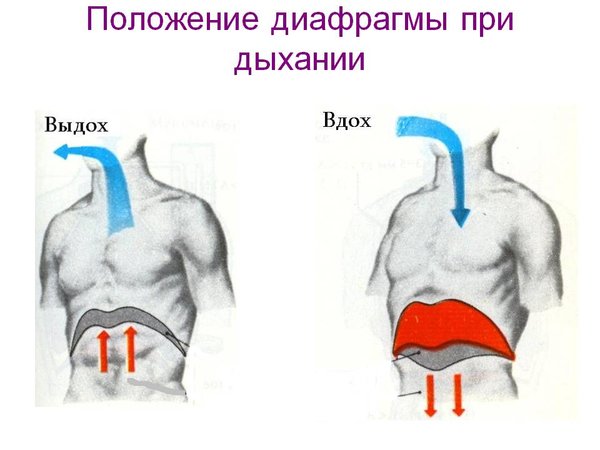 ыхание животом польза и вред