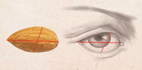 Глаз по форме миндального ореха