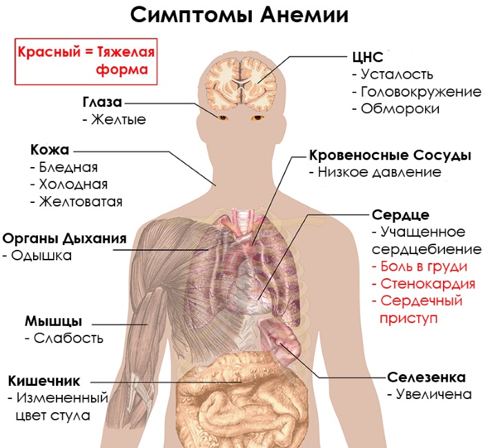 Холодные руки и ноги. Причины, лечение народными средствами, препараты