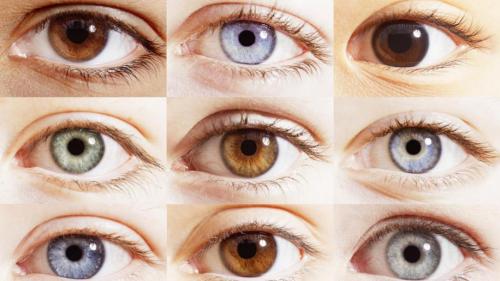 Как сделать цвет глаз насыщеннее. Как изменить цвет глаз в домашних условиях?