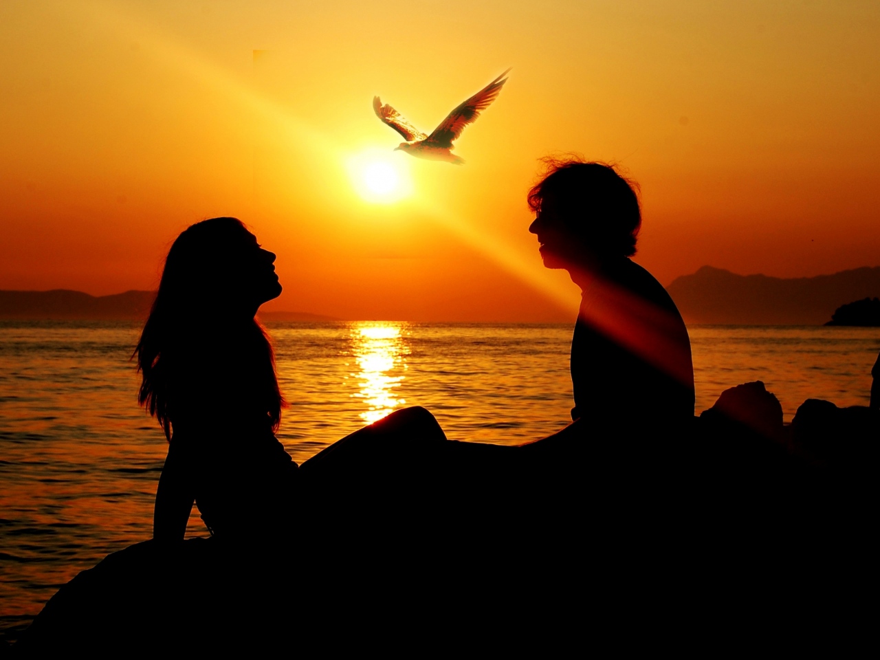 girl-sunset-summer-ray-love-sea-man-bird-freedom-silhouette-sun-sea-gull.jpg