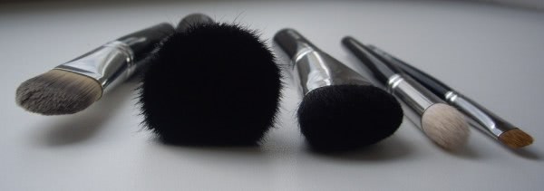 Makeup Brushes. Hakuhodo (I)