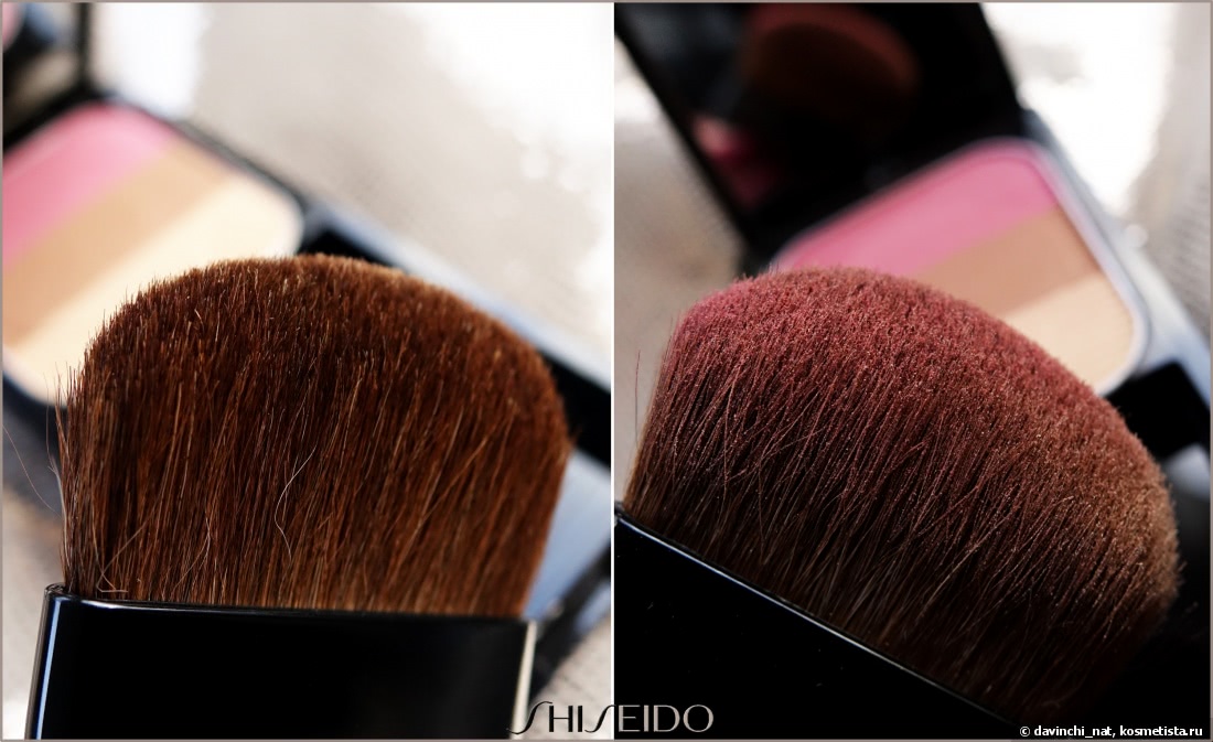 Shiseido Face Color Enhancing Trio RS1 Plum