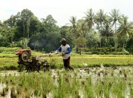 A Sustainable Solution for Thai Farmers