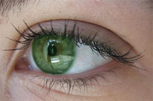 Как сделать, чтобы цвет глаз был ярче. Домашняя магия: как изменить цвет глаз в домашних условиях