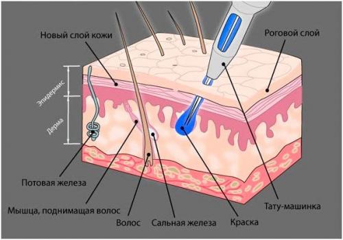 Сколько по времени делается напыление бровей. Что такое напыление бровей