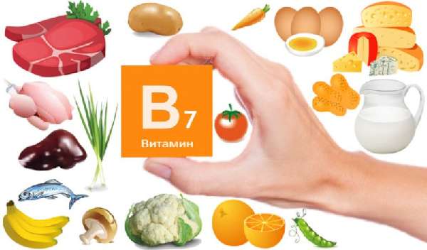 Продукты с содержанием витамина B7