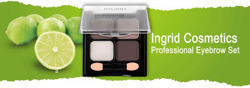 Воск и тени для бровей Ingrid Cosmetics Professional Eyebrow Set