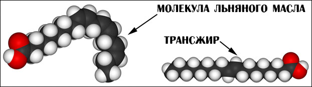Прямая и изогнутая молекула жира