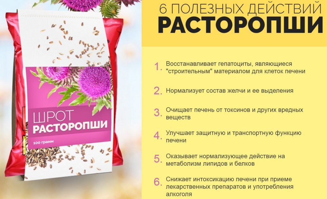 Полезные свойства расторопши