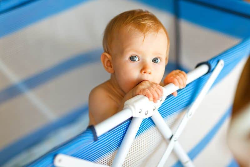 Portrait of baby in playpen