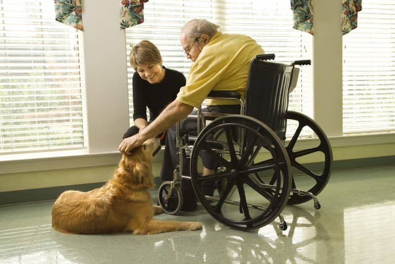 Man in wheelchair with dog.