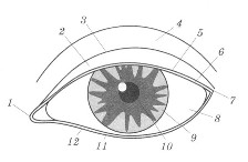 макияж глаз - схема глаза