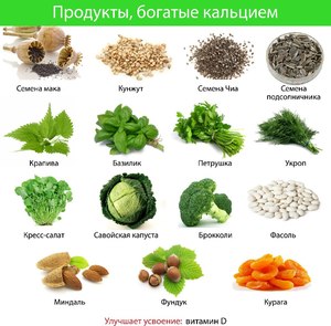 Продукты богатые кальцием