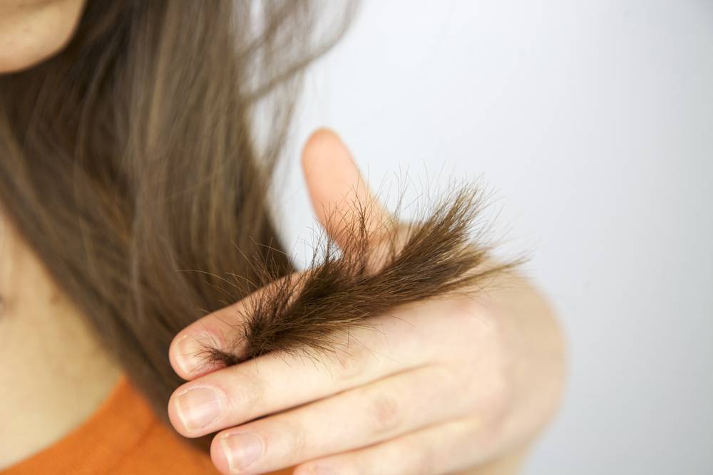Обладательницы сухой или чувствительной кожи головы должны отказаться от горчичных масок, чтобы не нанести вред своим волосам