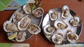 Oysters on a platter (photo: Helen Mendes)