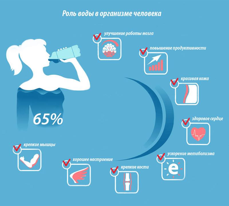 Польза воды для организма