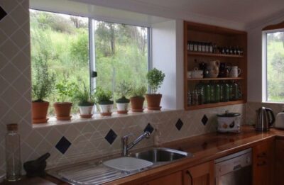 Culinary Herbs on Windowsill 752x490